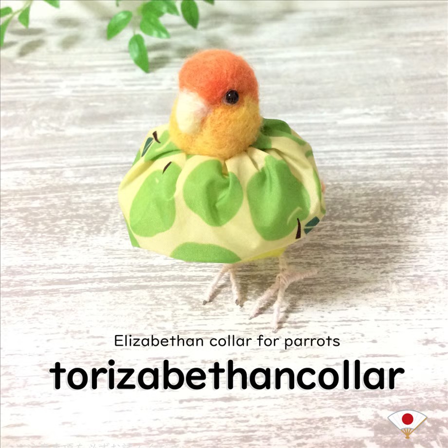 torizabethancollar